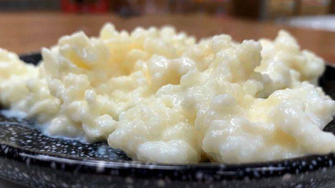 Milk Kefir Grains