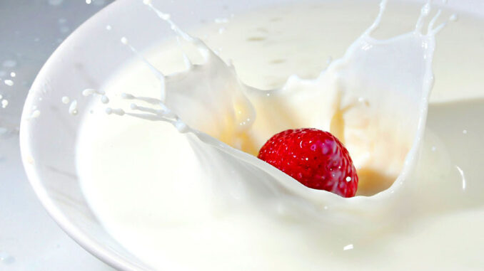 Is Kefir lactose free?