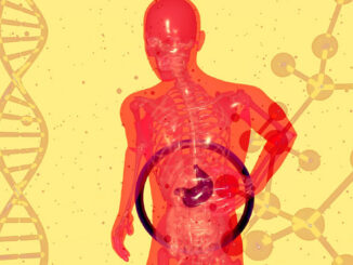 Are probiotics destroyed by gastric acid?